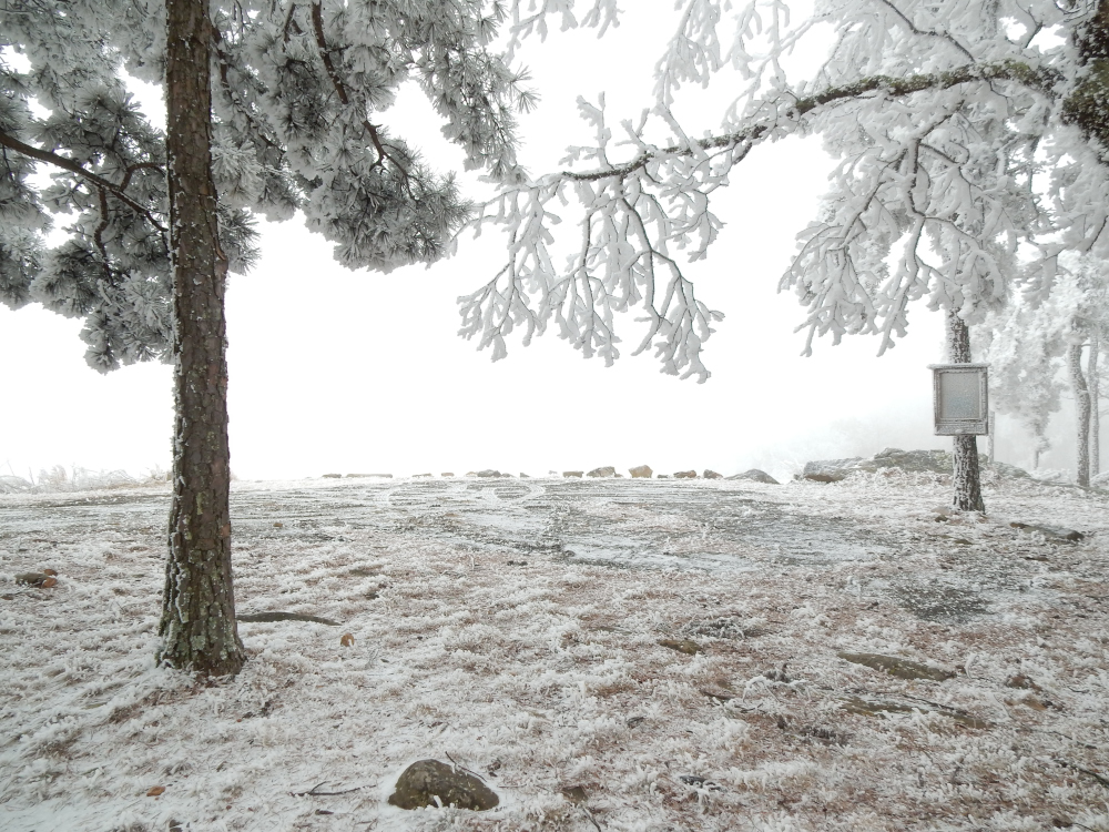 Panorama launch in winter